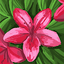 Aivon avatar